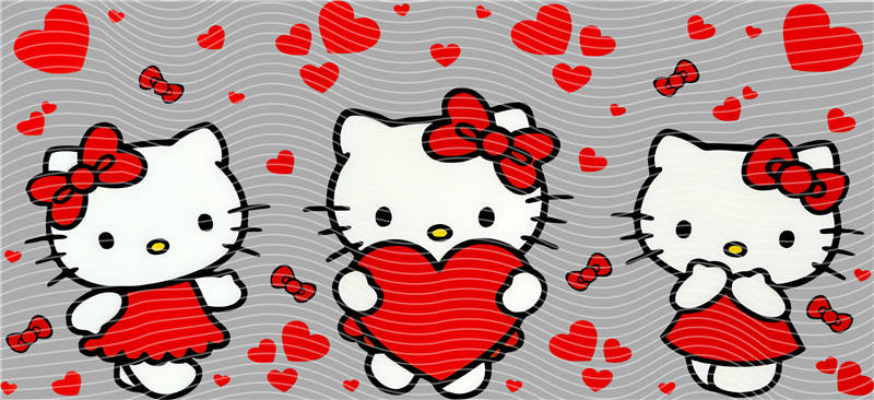 16oz Sanrio-K 116